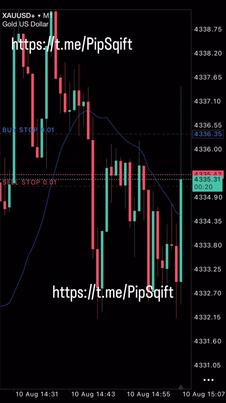 PipSqift EA Live Trading Demo - Vertical View
